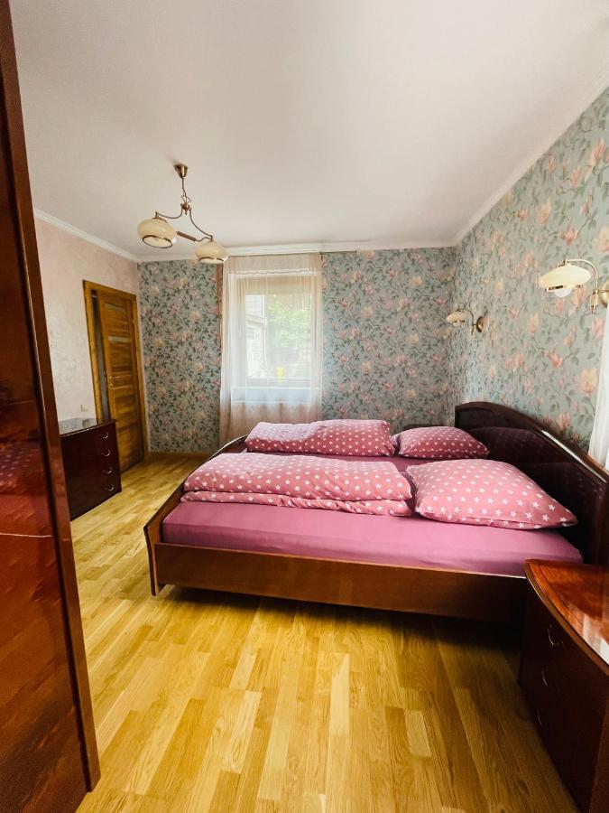 Gemuetliches Apartment Mit Kamin Und Wohnkueche Герцберґ-ам-Гарц Екстер'єр фото
