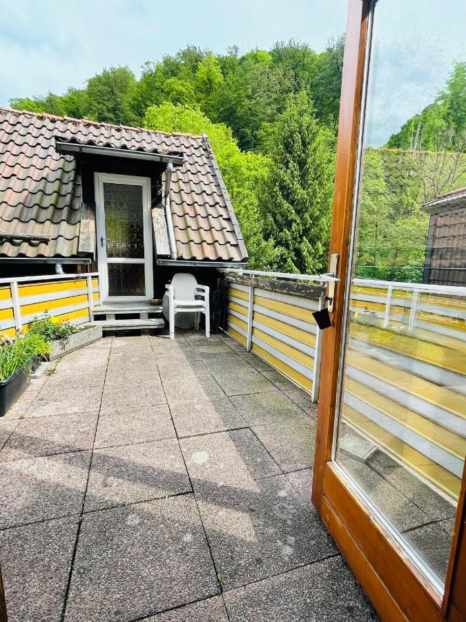 Gemuetliches Apartment Mit Kamin Und Wohnkueche Герцберґ-ам-Гарц Екстер'єр фото