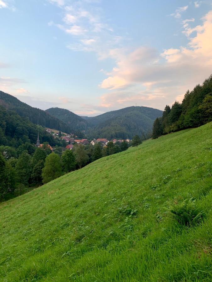 Gemuetliches Apartment Mit Kamin Und Wohnkueche Герцберґ-ам-Гарц Екстер'єр фото